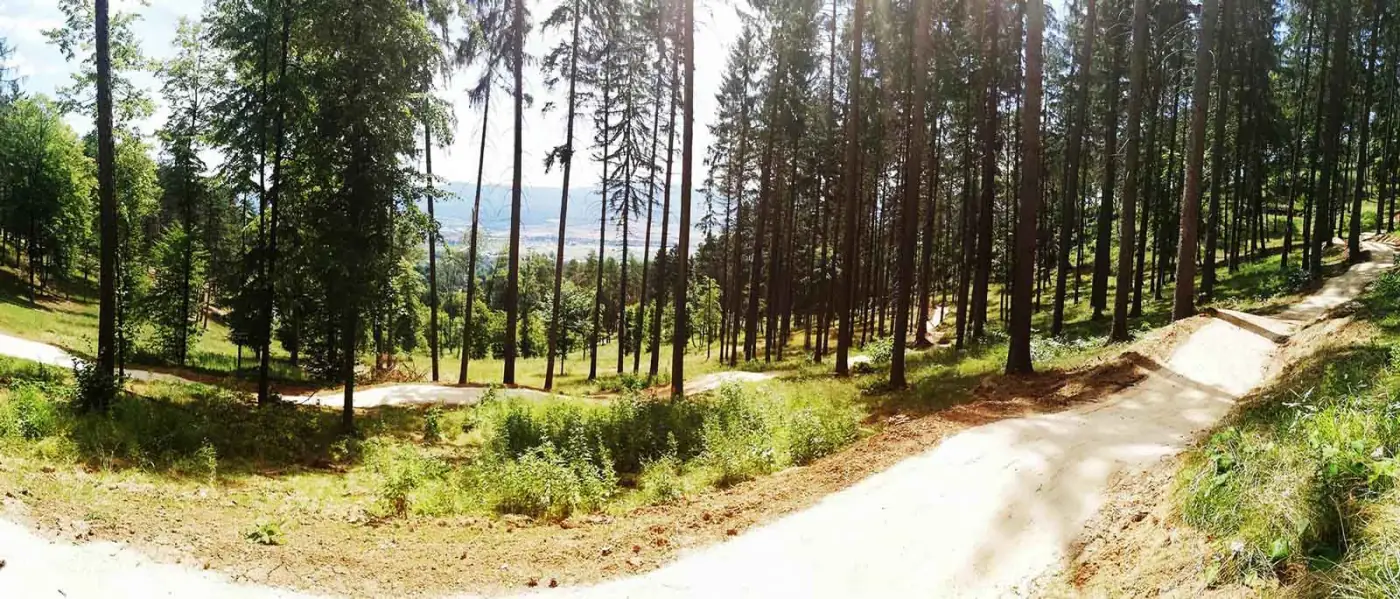 Lesný flowtrail od BikeING